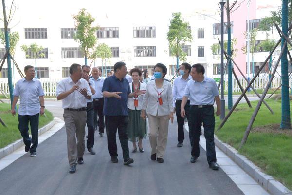 黃河鯤鵬展翅高飛,新篇章引領勵志風潮的最新消息