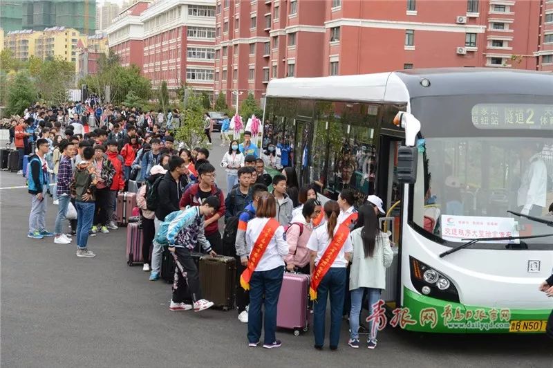 青島公交最新動態,時代脈搏與城市流動的同頻共振