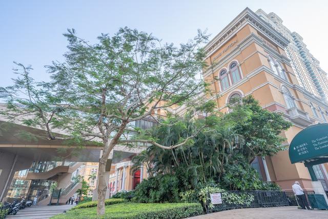 澳門(mén)全新開(kāi)業(yè)盛況，探索最新體驗(yàn)！