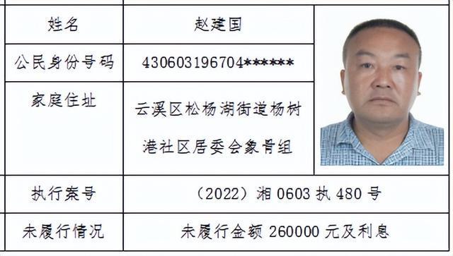 岳陽市最新老賴查詢與應對指南，初學者到進階用戶的必備指南