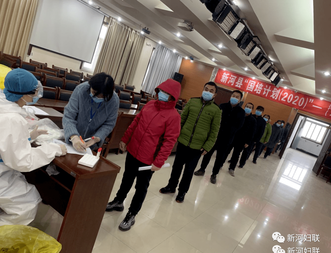 廣樂疫情最新情況,廣樂疫情最新情況，小巷深處的獨特風味