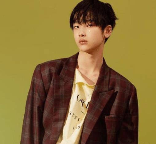 周震南最新事件揭秘，小巷深處的驚喜寶藏