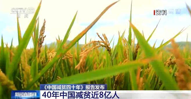 中國脫貧最新動態，持續推動脫貧攻堅成果鞏固與發展?