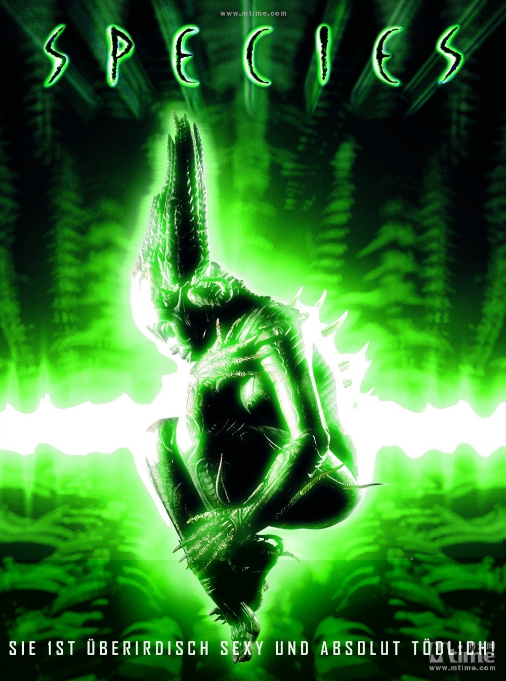 異種最新一部深度解析，展現影片獨特魅力與特色