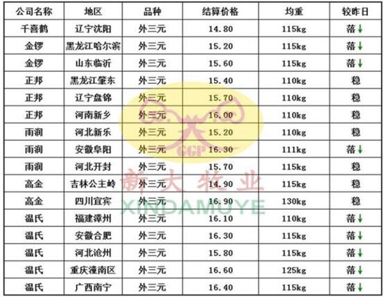河南省最新生豬價格揭秘，巷弄深處的豬肉市場動態
