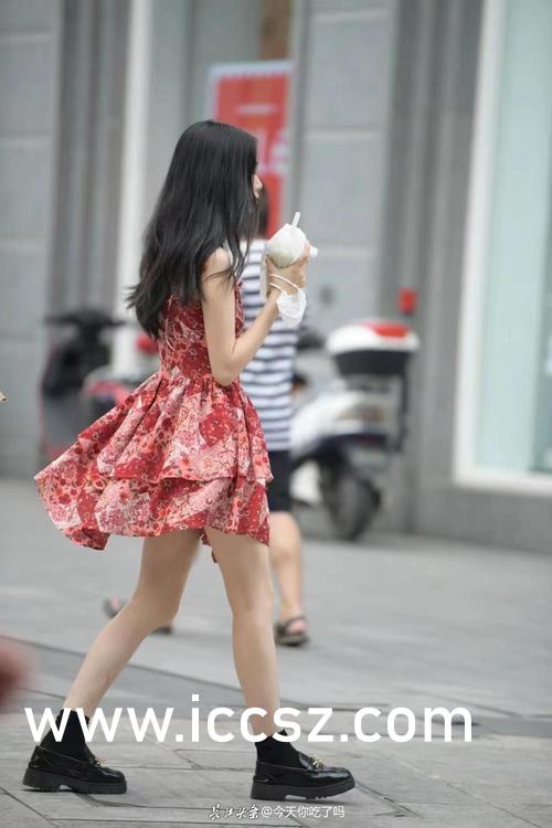 綠色經典精盛青稞酒 第333頁