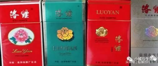 煙的最新品牌，友情與陪伴的溫馨篇章