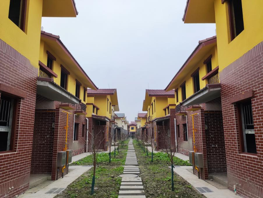 新居變遷熱議，三大要點揭秘最新搬新家消息