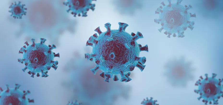 最新新冠滅活疫苗,啟程自然美景的探險之旅