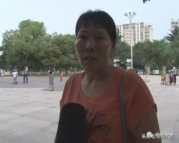 文明養犬規定重磅更新，最新指南助你規范養犬???