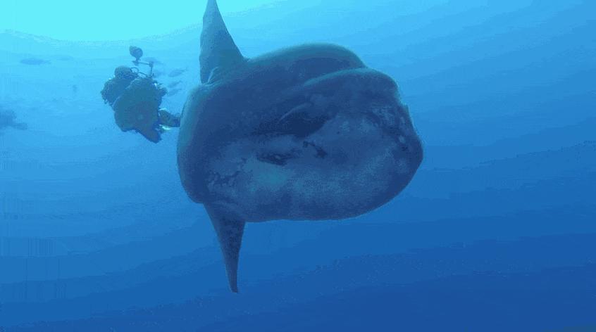 水環(huán)境最新動(dòng)態(tài)，深度分析與觀點(diǎn)闡述及其影響