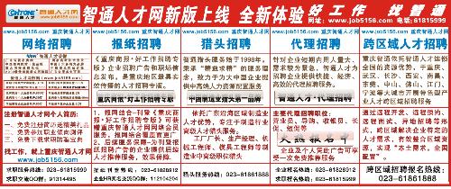 智通人才市場最新職位招聘詳解，求職者的必備指南