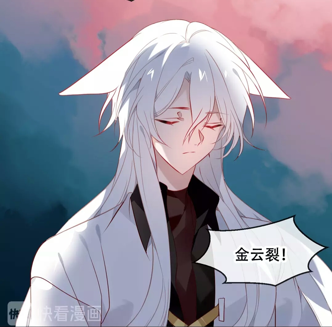 吾凰最新話深度解析,多維度的觀點(diǎn)與個(gè)人立場探討