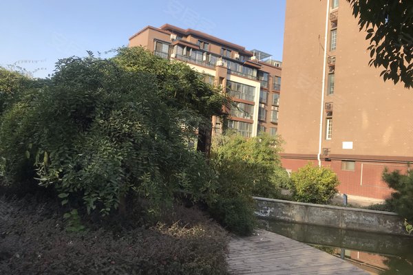 駐馬店萊茵湖最新動態，成長中的湖泊與我們的共同軌跡