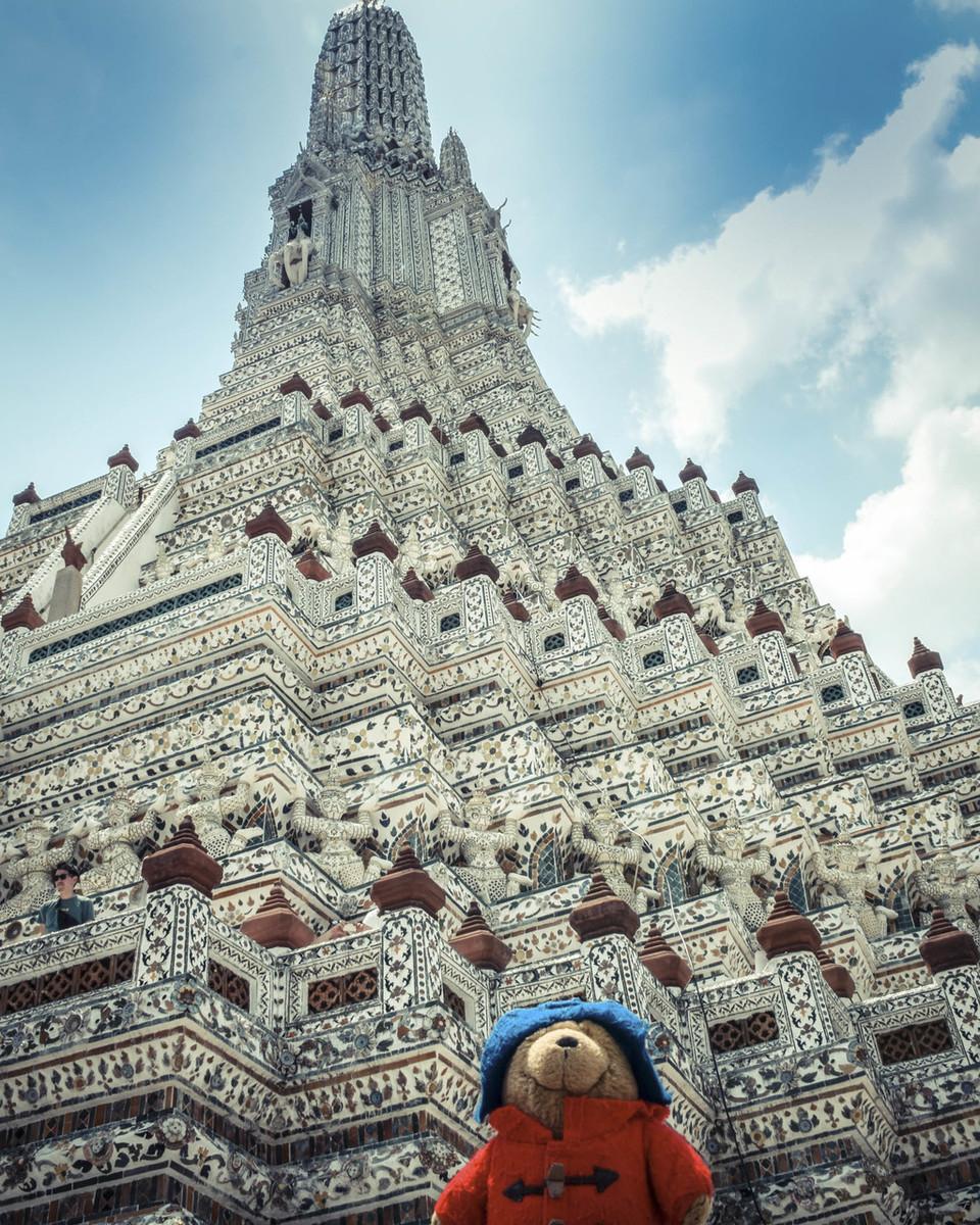 帕丁頓熊電影，觀看指南與技能學習步驟全解析
