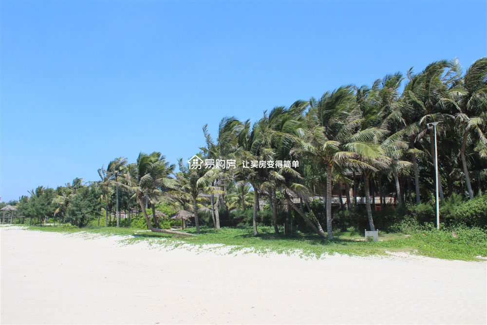 航天椰林灣最新風光掠影集