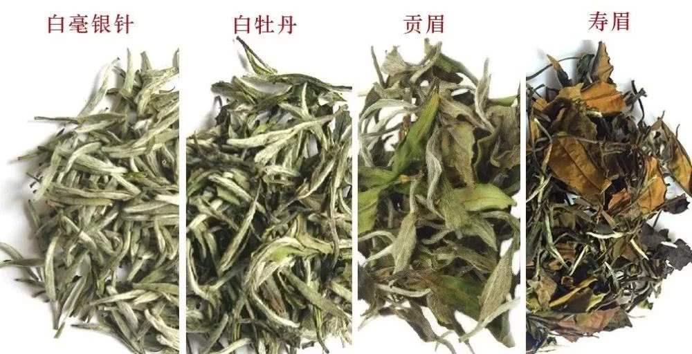 白牡丹白茶，探尋內(nèi)心平靜的茶道之旅與價(jià)格揭秘