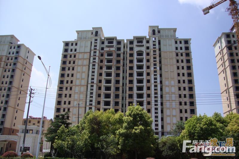 泰州鳳城麗都最新動(dòng)態(tài)，家的溫馨與友情的綻放