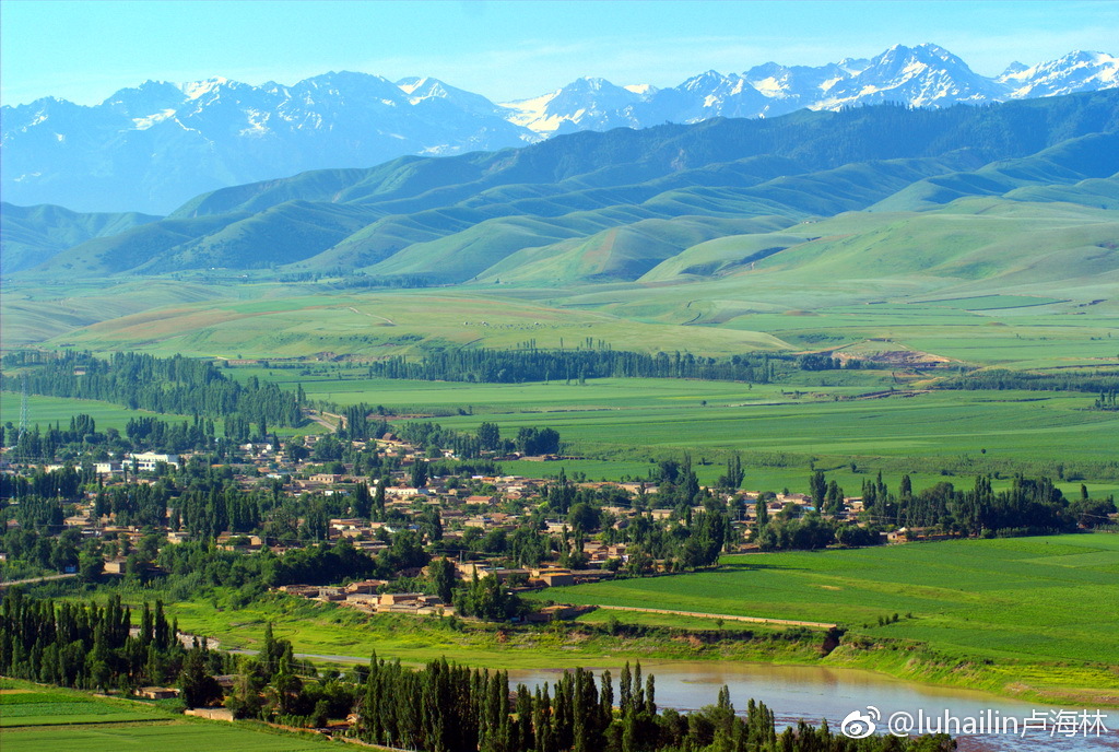 五A添盛坊青稞原漿 第325頁