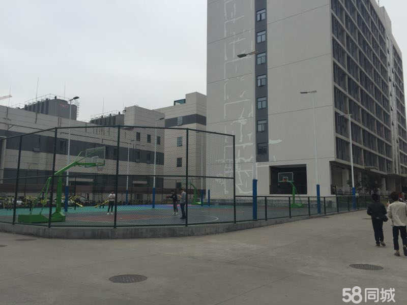 橫崗六約普工招聘啟事，小巷深處的職業(yè)機(jī)遇