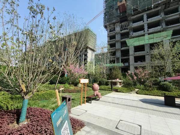 滄州樓盤價格最新動態，與自然美景對話，探尋內心平和之韻的旅程