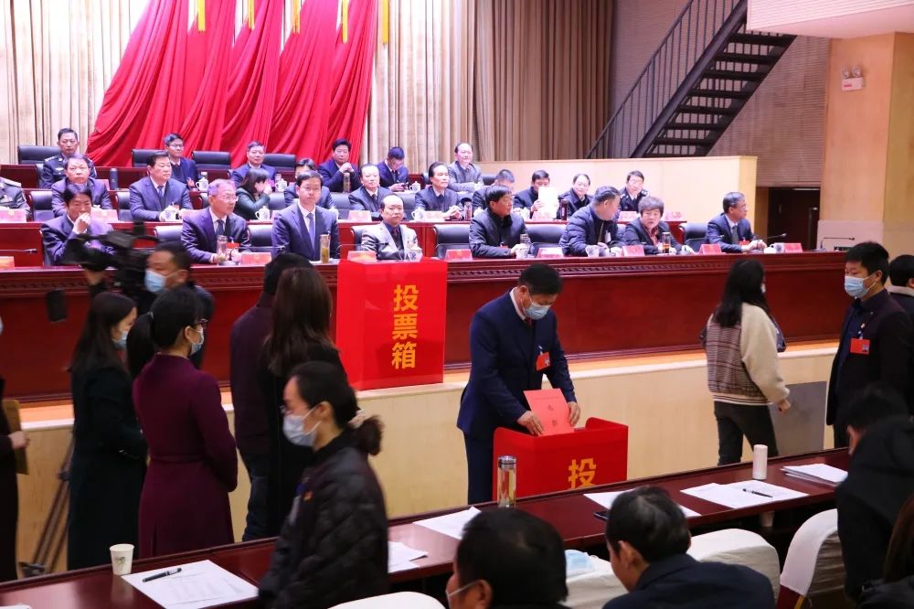 最新選舉結(jié)果及大自然呼喚與內(nèi)心平靜之旅的交織