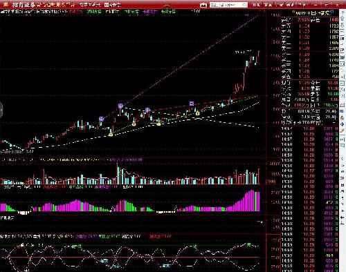 國投新集股票最新動態解析與指南