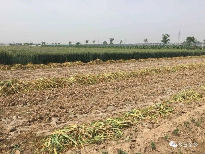 五A添盛坊青稞原漿 第315頁