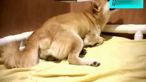 白酒 第302頁(yè)