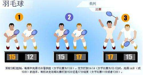 羽毛球比賽規則圖解,羽毛球比賽規則圖解，從入門到精通