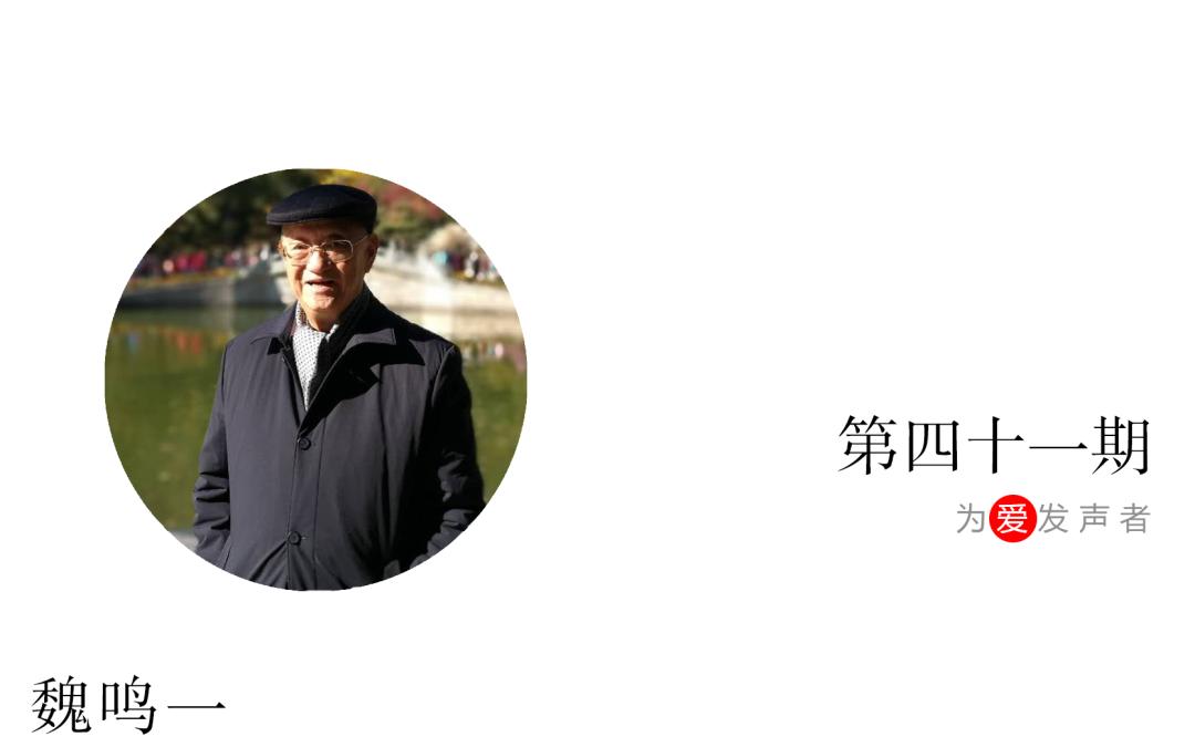 安德烈里歐最新音樂盛典,音樂盛宴與文化碰撞之夜
