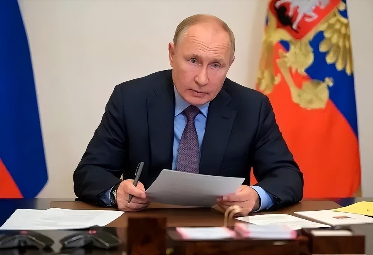 白俄最新動態，溫馨有趣的日常故事更新