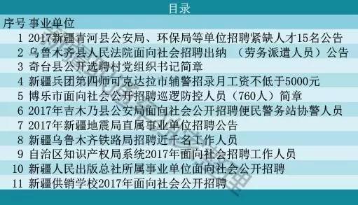 烏魯木齊最新科技職位招聘,點亮生活,引領未來發展之路