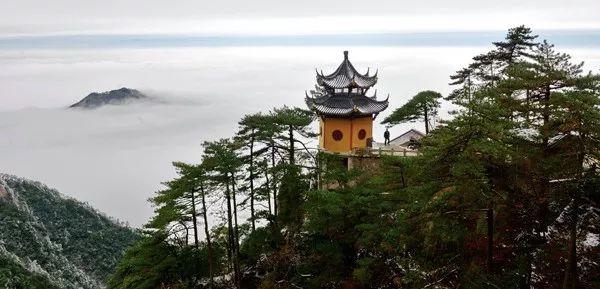 綠色經典精盛青稞酒 第296頁