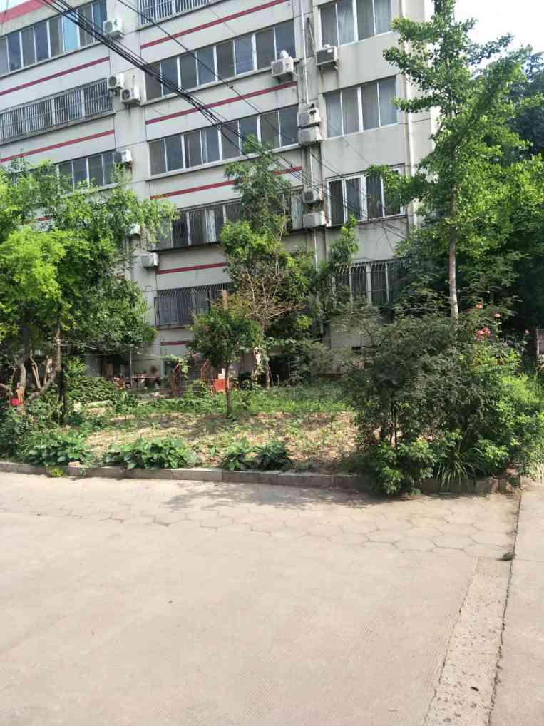 明星小區,自然美景探索的輕松之旅