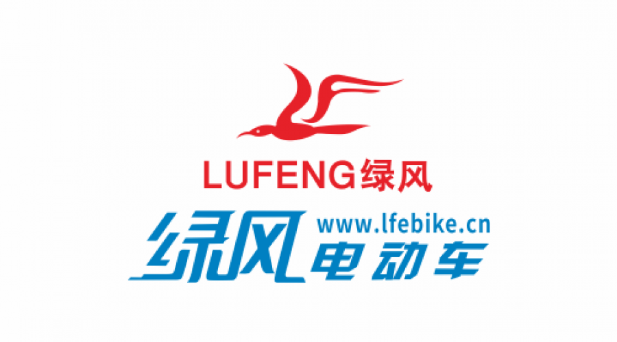 綠風電動車價格表及其背后的溫情故事