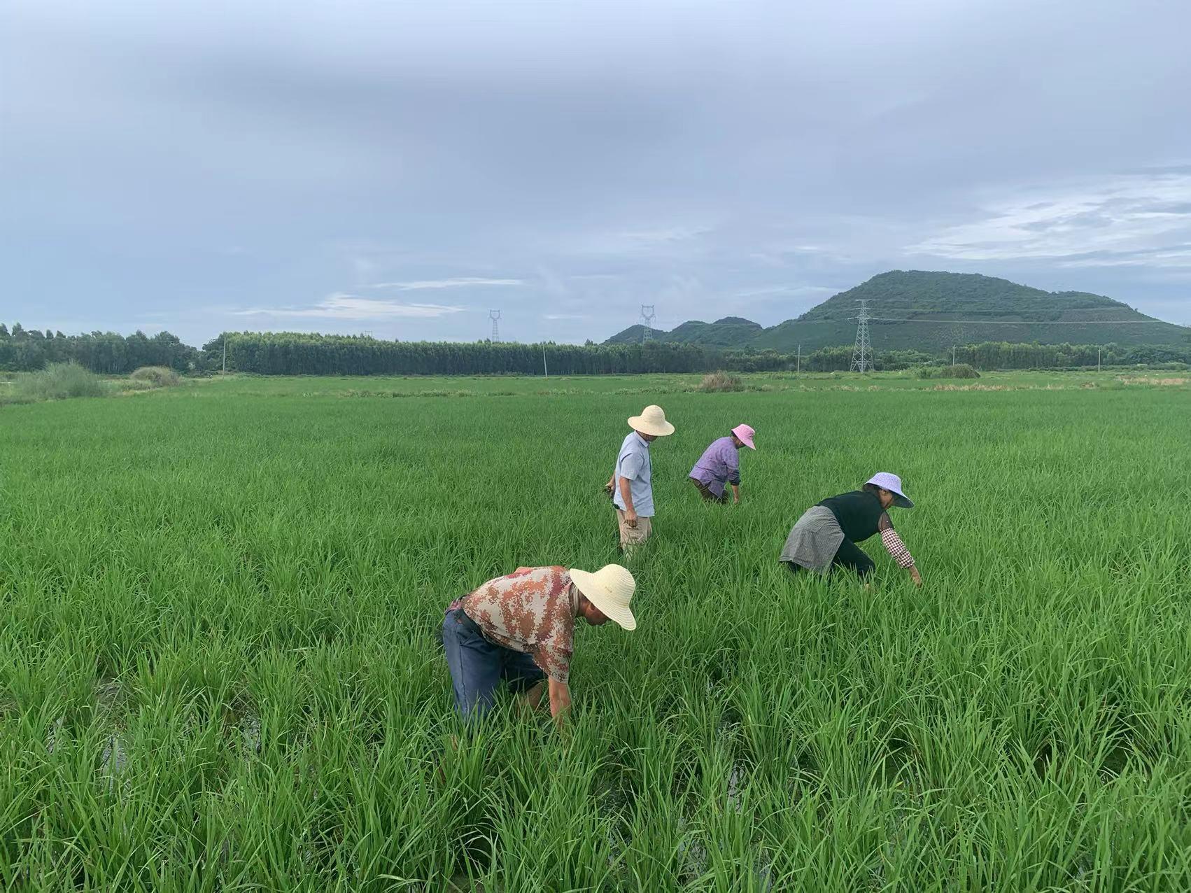 東方希望最新招聘資訊揭秘,企業(yè)人才需求與招聘策略深度探析