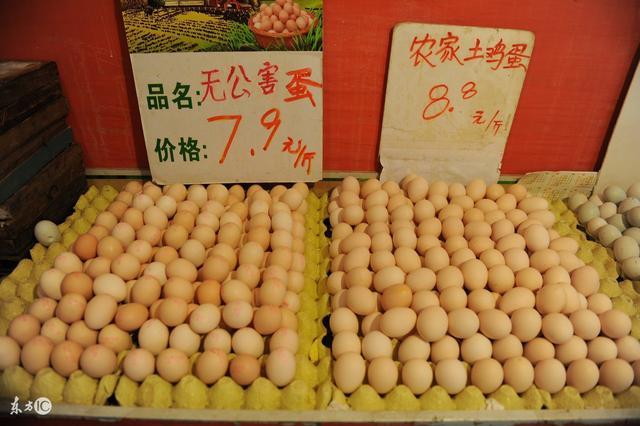 科技引領生活新紀元，最新菜場蛋價動態更新