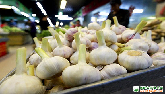 新蒜上市季節(jié)揭秘,時間、影響因素與地位探討