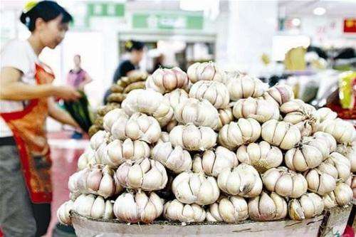 新蒜上市季節(jié)揭秘,時間、影響因素與地位探討