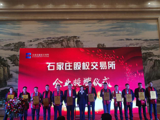 河北交易所最新動態及小巷深處的獨特風味資訊