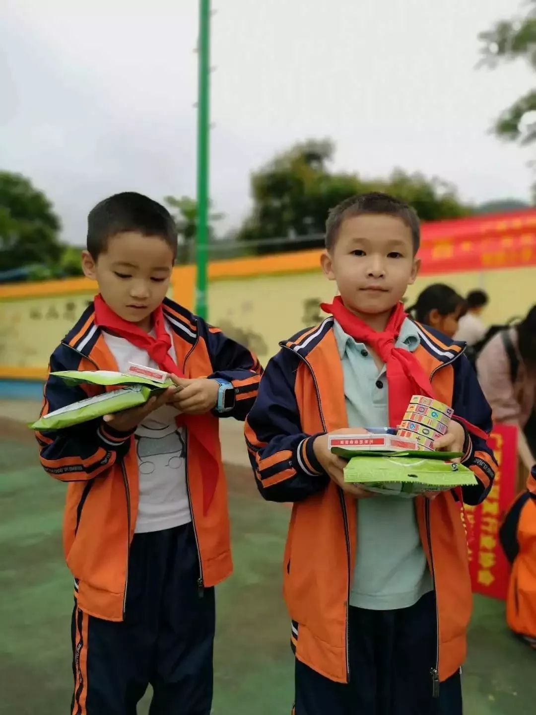 廣西梅花協會最新動態揭秘，小巷獨特風味探秘之旅