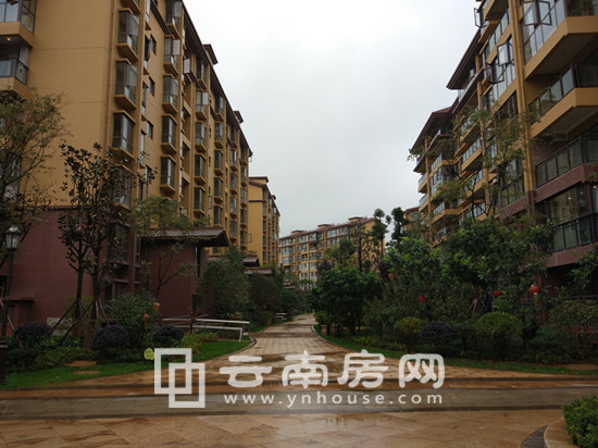 進賢云飛橡園最新動態與資訊更新