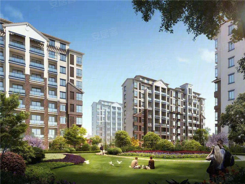 進賢云飛橡園最新動態與資訊更新