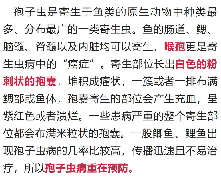 五A添盛坊青稞原漿 第293頁