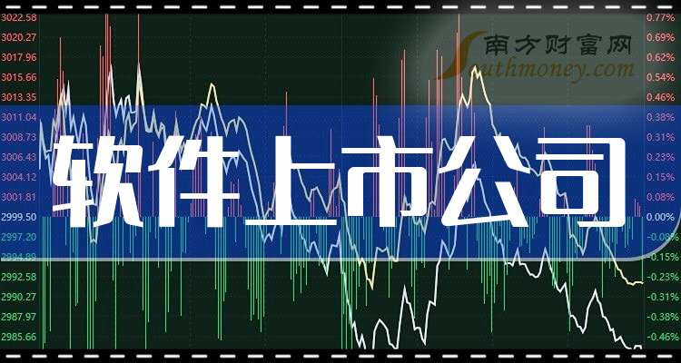 上市軟件公司,上市軟件公司詳細步驟指南