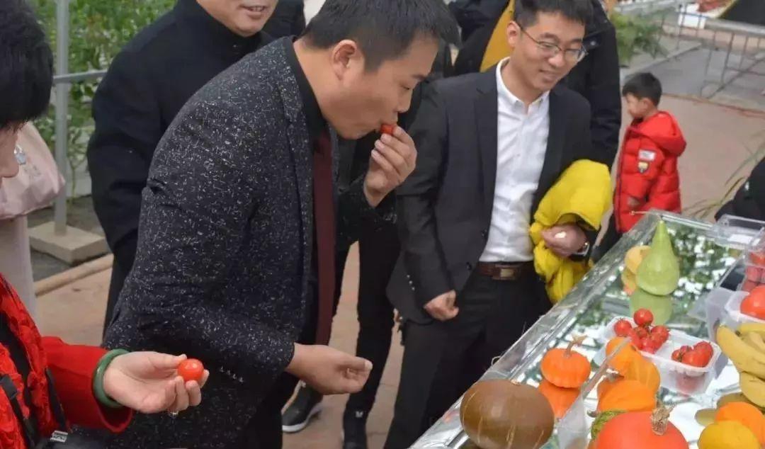 屬狗女明星,星光下的堅(jiān)韌成長(zhǎng)與自信成就