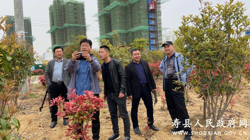 壽縣炎劉鎮房產最新價格動態,新房夢想與溫情紐帶