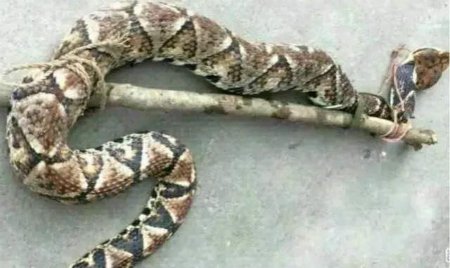 最新視頻,變化是成長的燃料,自信與成就感助力飛翔