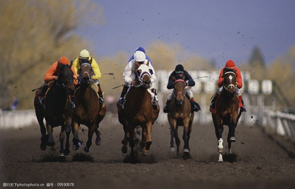 馬騎比賽,速度與力量的激情較量